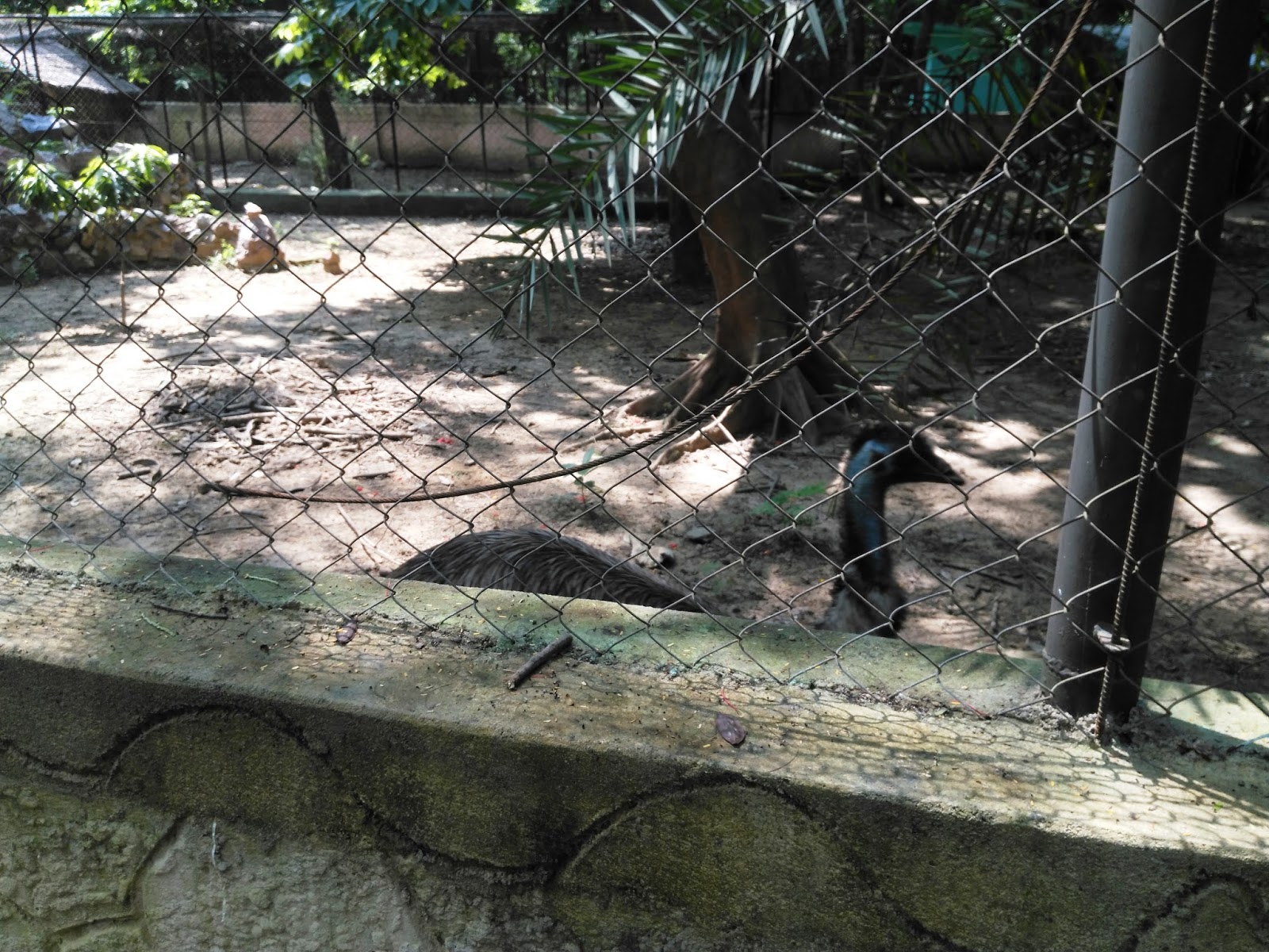 sanjay-gandhi-biological-park-img